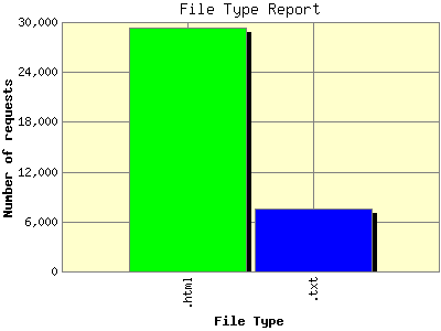 File Type Report: Number of requests by File Type.